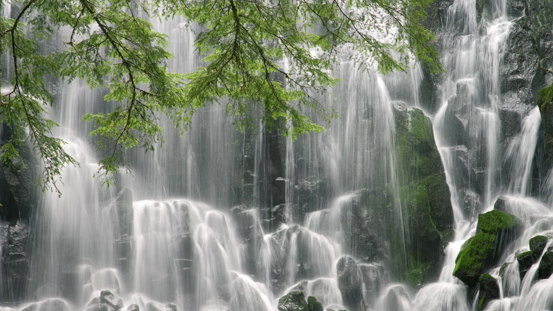 2006年布冯：意大利防线的最后屏障，布冯回归意大利