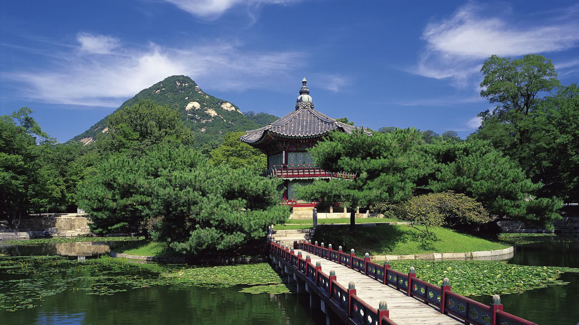 世界攀岩场馆公益课程扩展试点城市名单公布，国际攀岩