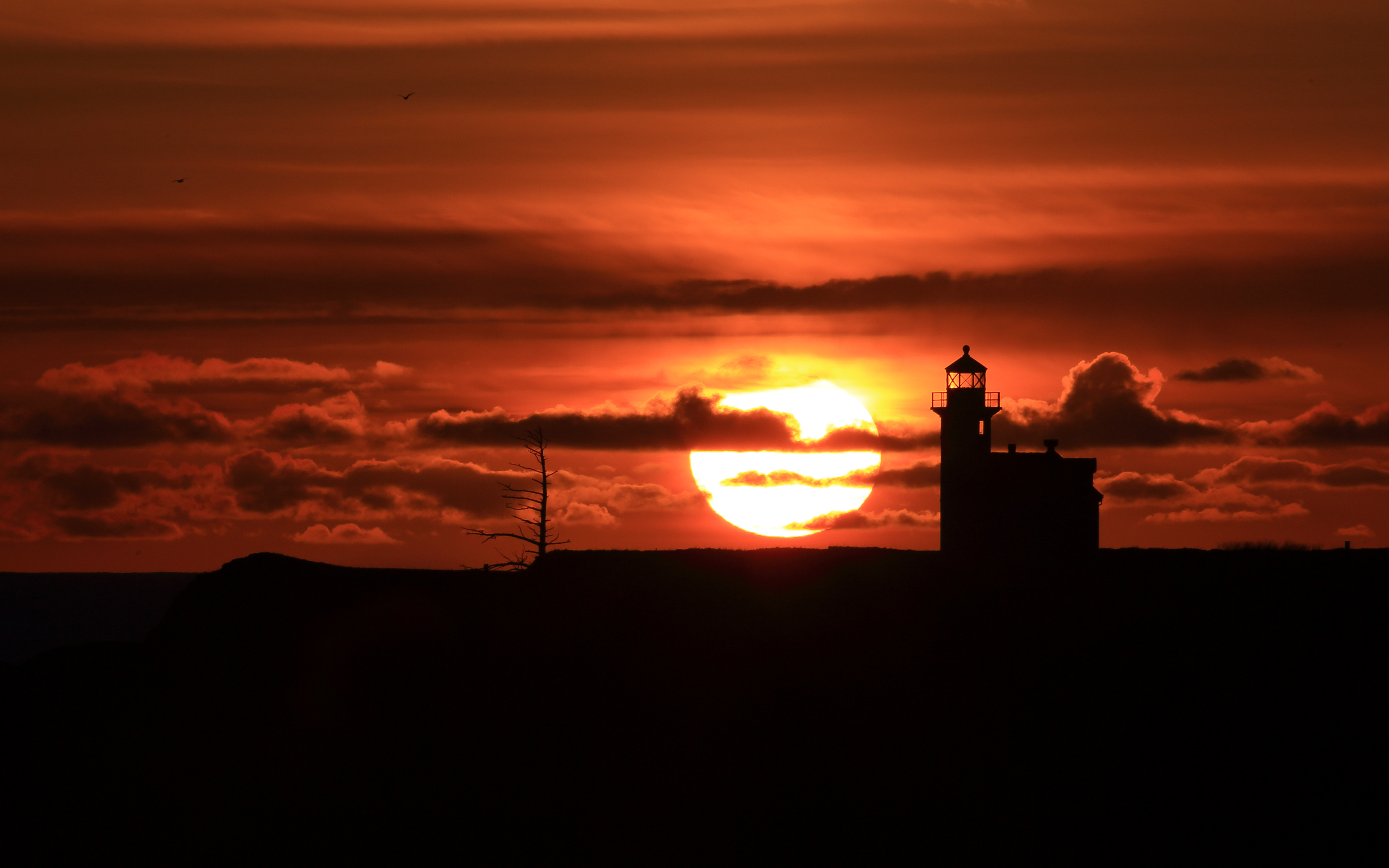 世界青少年山地车接力赛:团队衔接考验配速调度,青少年山地自行车比赛视频